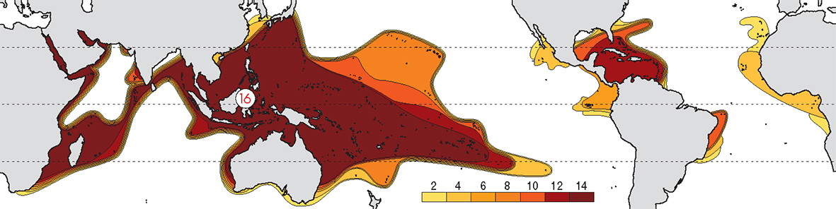 Contours of family diversity