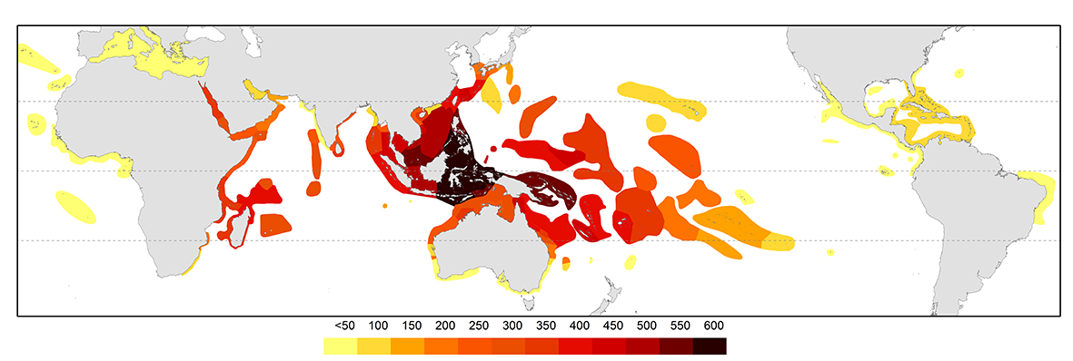 Contours of species diversity