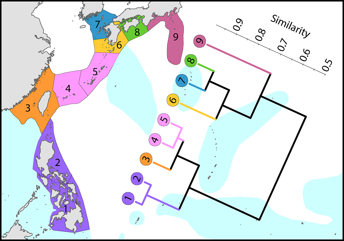 Philippines and Japan