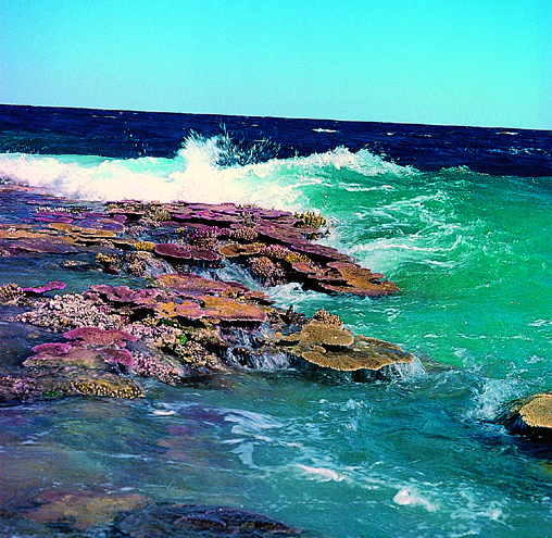Reef crest turbulence