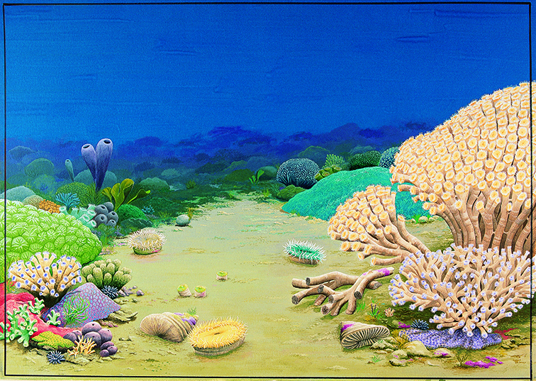 Early scleractinian community