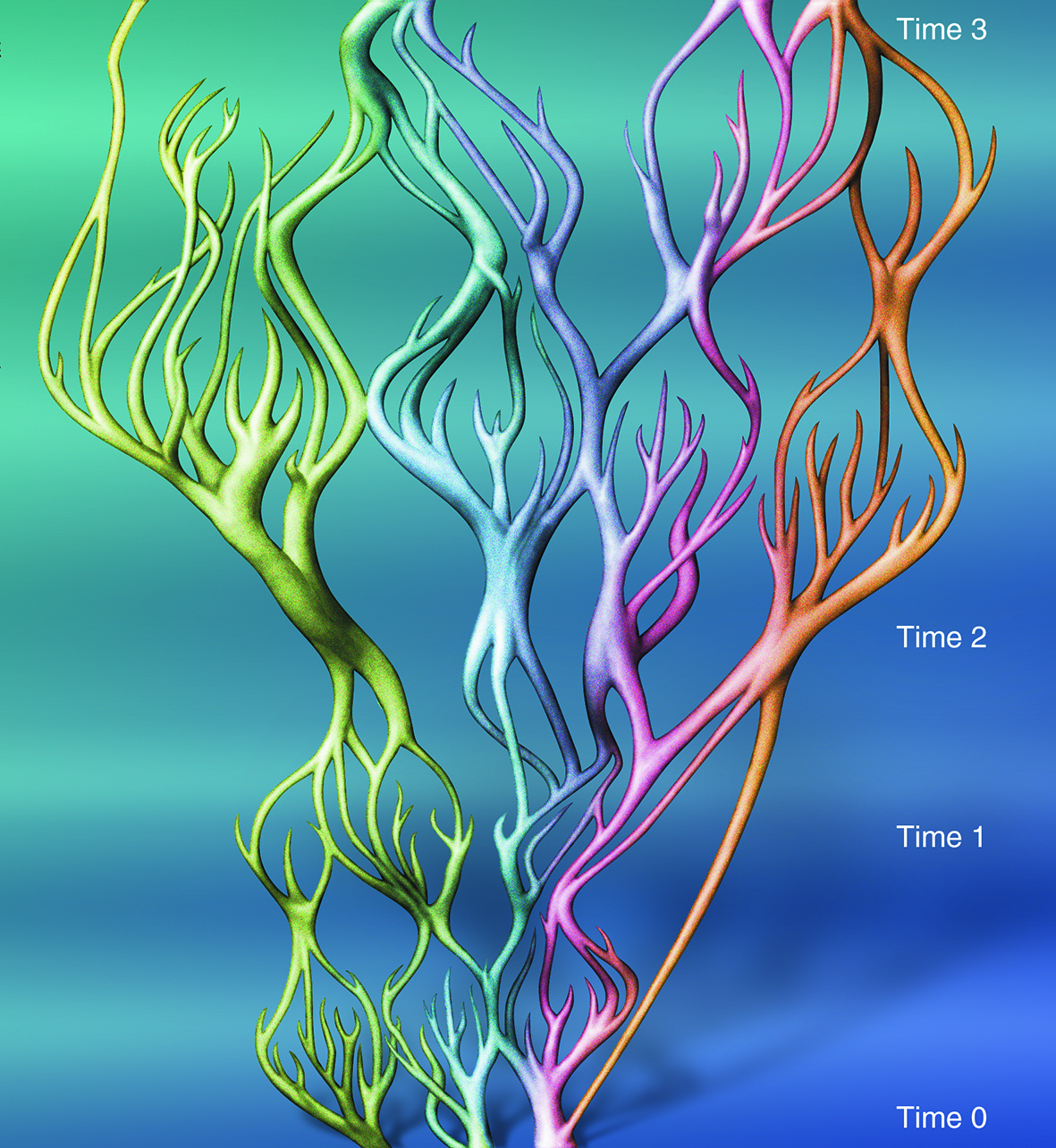 Reticulate evolution diagram