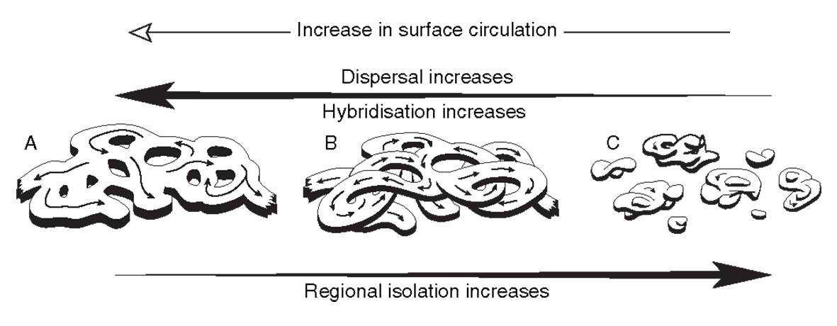 Different current regimes
