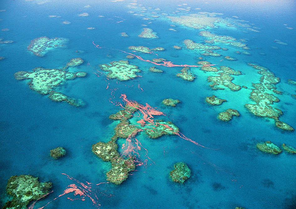 Aerial of egg and sperm bundles