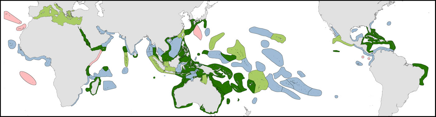 COTW team original studies