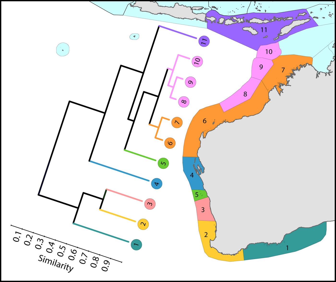 Species affinity western Australia