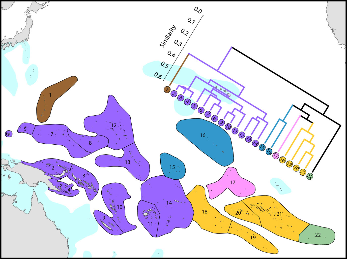 Species affinity western Pacific
