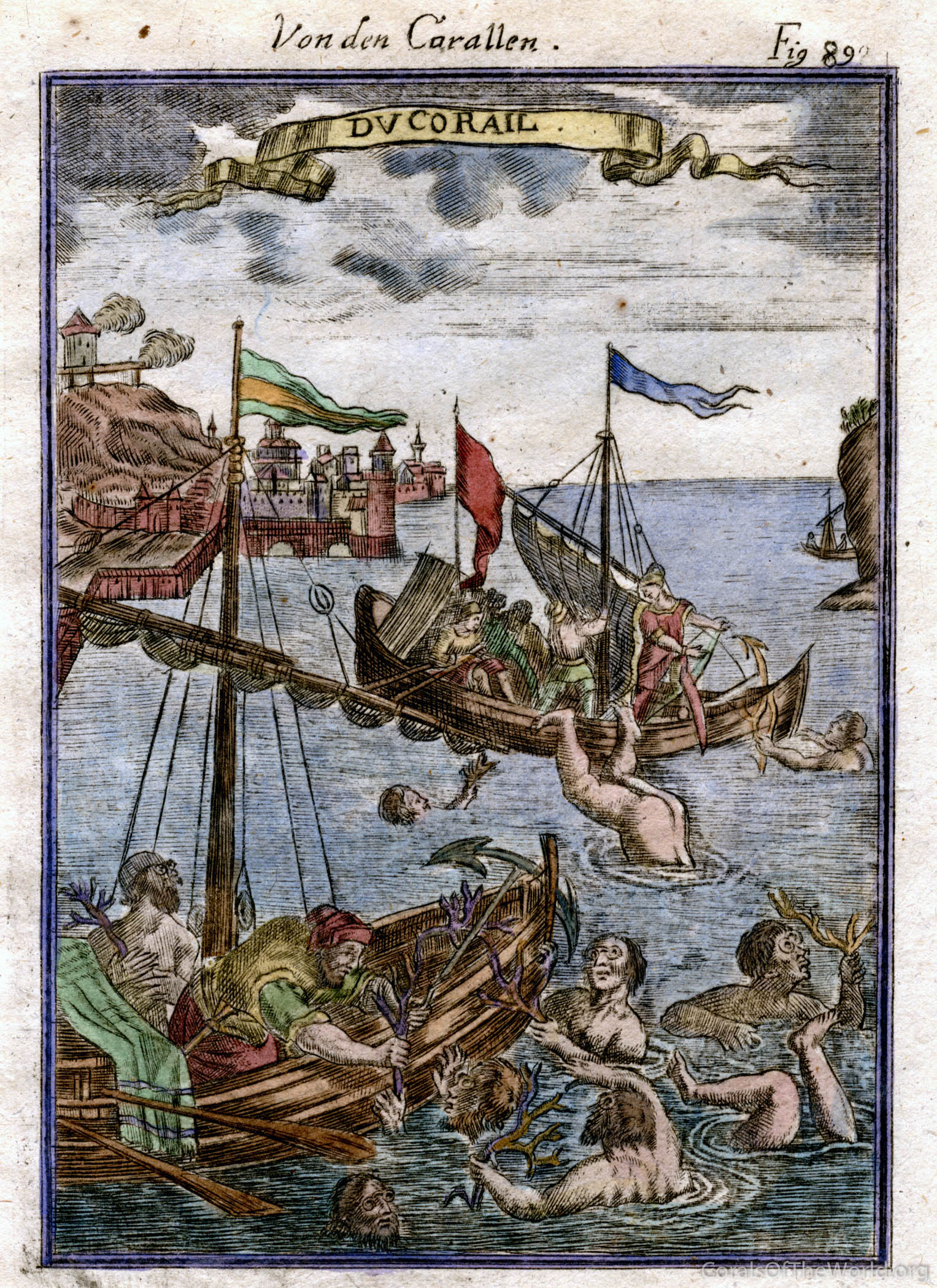 Early coral collecting