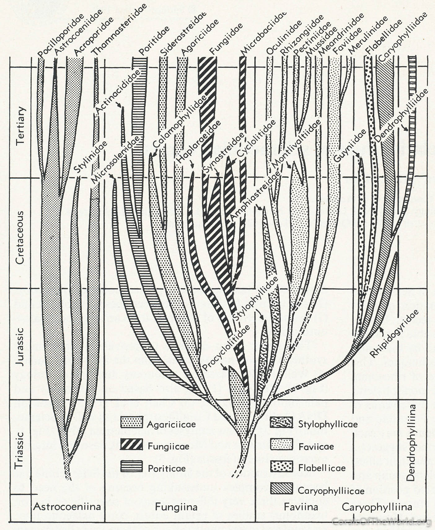 Family tree of Wells (1956)