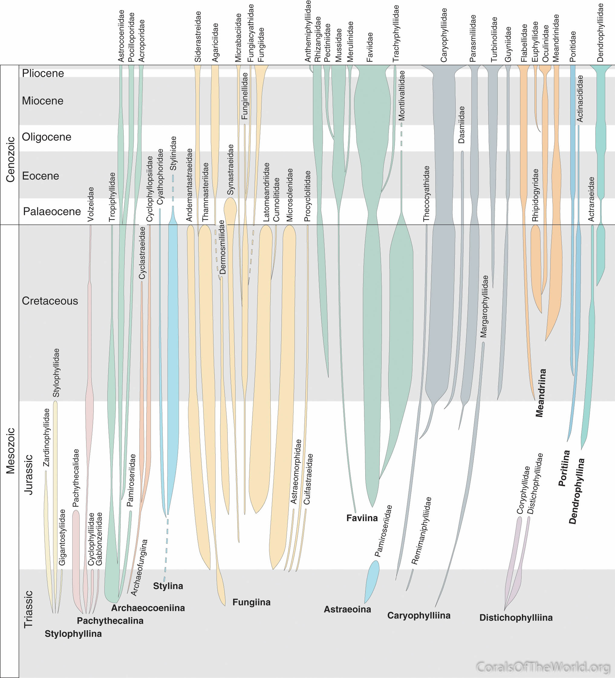 Family tree of Veron (2000a)